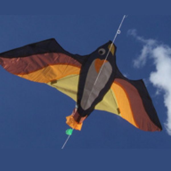 Oshhni Huge Kite Sports Kite Beautiful Single Line Fabric