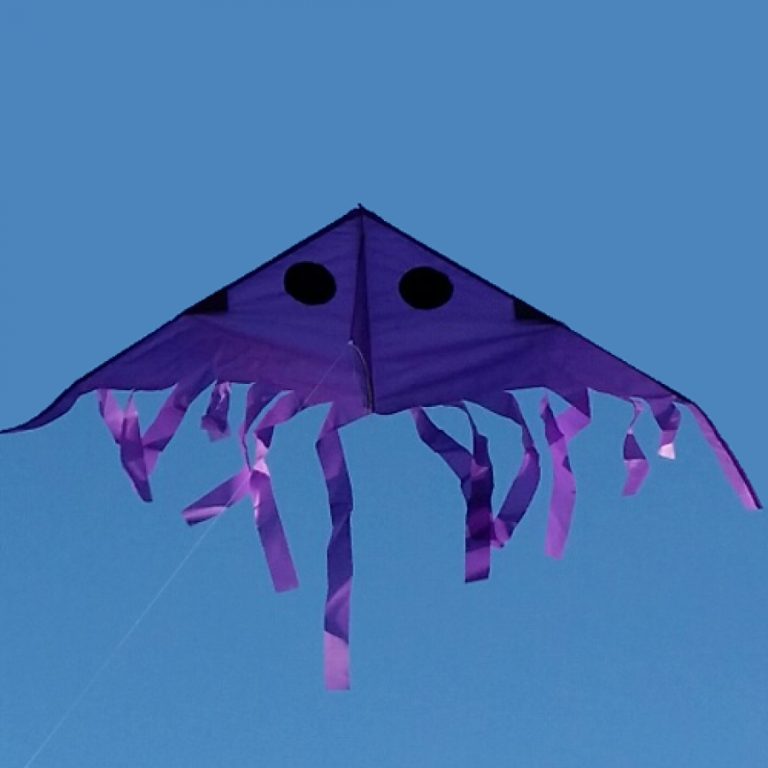 The Nu Nu kite Hi Fly Kites Kite wholesaler