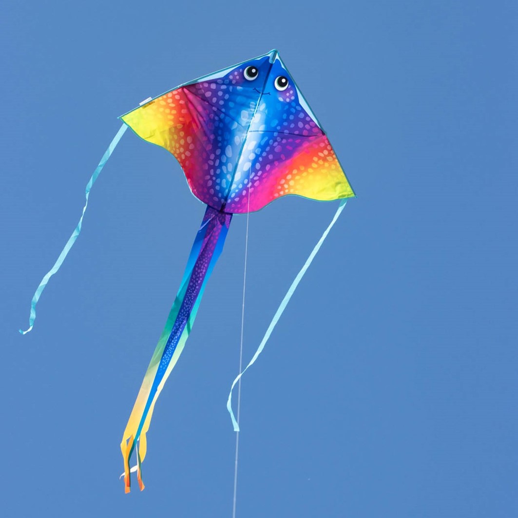 Manta 2
